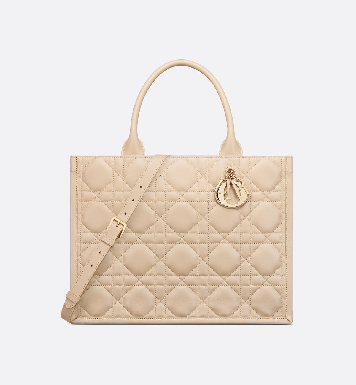 Sac Dior Book Tote Medium - #4