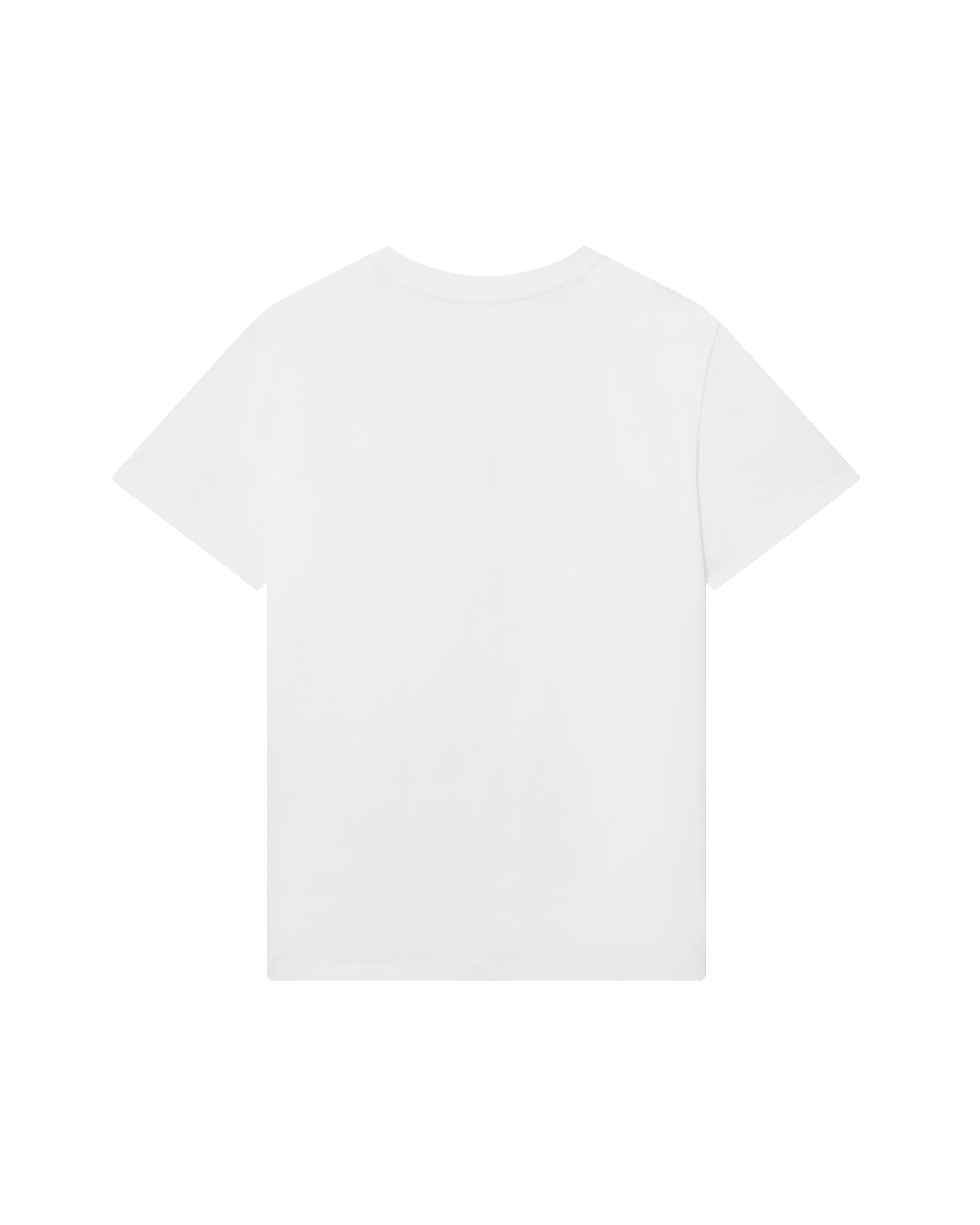 Casa Turtle T-Shirt